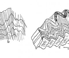 Les plissements hercyniens dans le Canigou, Pyrénées orientales (Guitard, 1960, 1967)