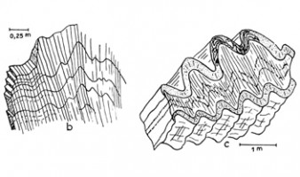 Les plissements hercyniens dans le Canigou, Pyrénées orientales (Guitard, 1960, 1967)