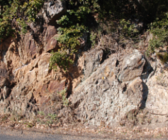 Discordance angulaire de l’Ordovicien supérieur sur le Cambrien inférieur (Formation d’Évol) dans le massif des Aspres, à l’Est du Canigou (P.-O.)